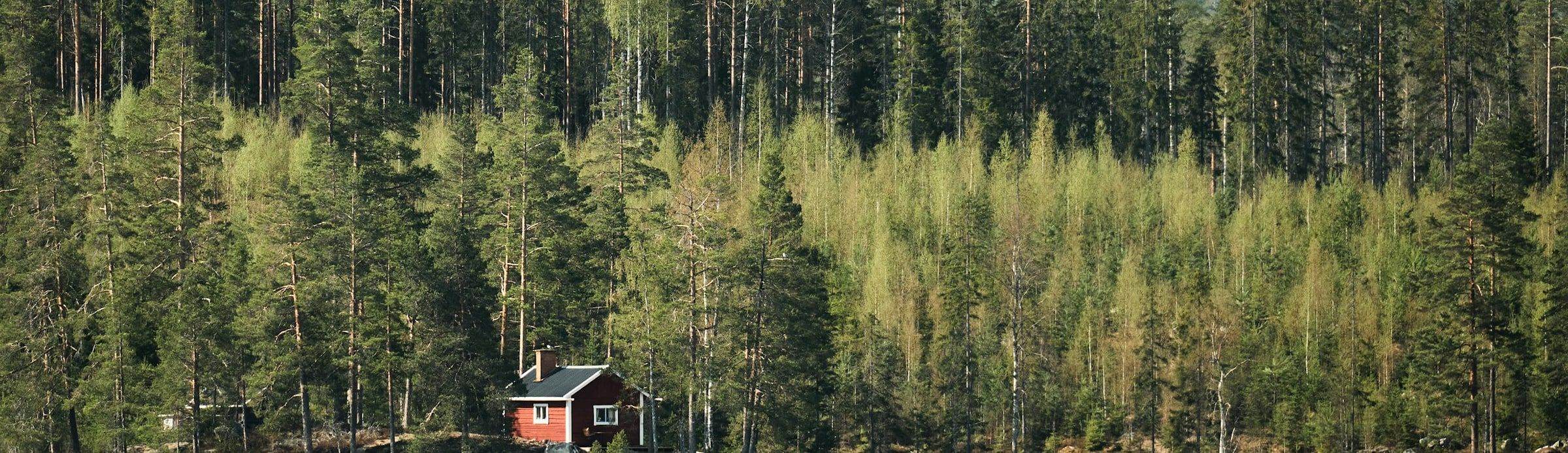 A cabin on a forested lake shore in Dalarna, Sweden
